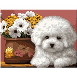 УЦЕНКА - Картина по номерам на картоне ТРИ СОВЫ "Белый щенок", 30*40, с акриловыми красками и кистями