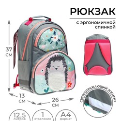 Рюкзак школьный, 37 х 26 х 13 см, эргономичная спинка, Calligrata АН "Ёжик"