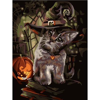 Картина по номерам на холсте ТРИ СОВЫ "Заколдованный котик", 30*40, с акриловыми красками и кистями