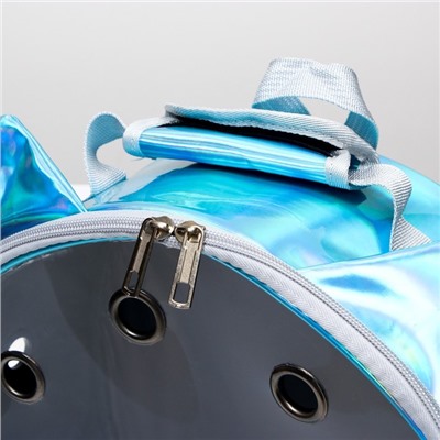 Рюкзак круглый для переноски животных, прозрачный, 26 см, голубой