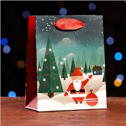 Рождество и Новый год | Пакет подарочный "Привет! Я Дед Мороз. Я вам елочку принес"