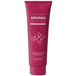 Pedison Шампунь для волос АРОНИЯ Institute-beaut Aronia Color Protection Shampoo, 100 мл
