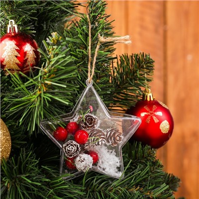 Новогодняя подвеска с природным декором «Снежная звезда»