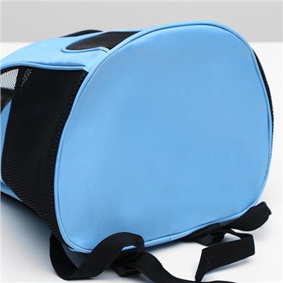 Рюкзак для переноски животных, 31,5 х 25 х 33 см, голубой