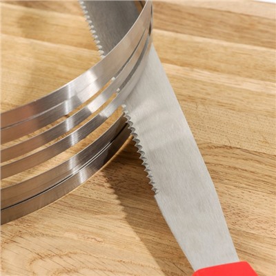 Набор кондитерский Доляна, 2 предмета: форма для выпечки с прорезями 25-30×8 см, кондитерская лопатка