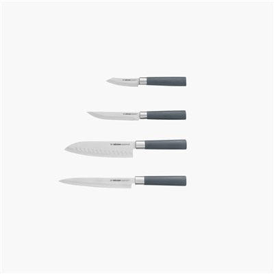 Набор из 4 кухонных ножей с универсальным блоком Haruto
