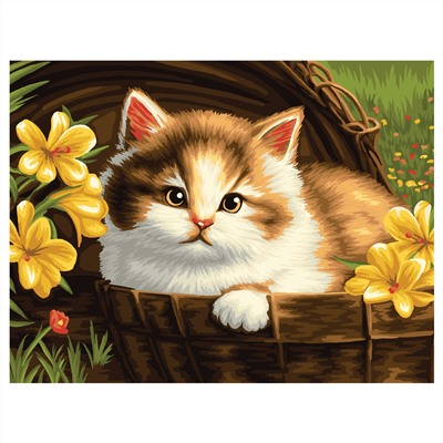 Картина по номерам на холсте ТРИ СОВЫ "Котенок в корзине", 30*40, с акриловыми красками и кистями