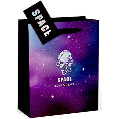 Пакет подарочный «Love&Space», (18*23*11)