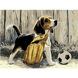 Картина по номерам на холсте «Щенок с мячом», 40х30 см