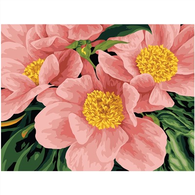 Картина по номерам на картоне ТРИ СОВЫ "Розовый цвет", 30*40, с акриловыми красками и кистями
