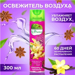 Освежитель воздуха в аэрозольной упаковке серии «Green collection by Provence», Имбирь и ваниль