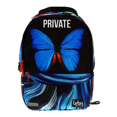 Рюкзак молодёжный deVENTE Red Label Private, 39 х 30 х 17 см, эргономичная спинка + usb и аудио выход, синий, чёрный