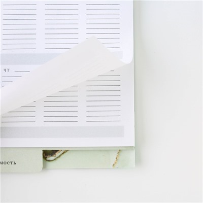 Планинг-ежедневник на спирали с разделителями «Учитель всегда прав», А5, 45 листов