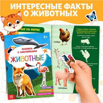 Набор книг для досуга «Я изучаю животных», 4 шт