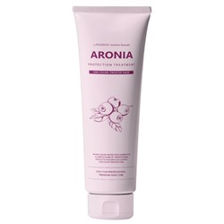 Pedison Маска для волос АРОНИЯ Institute-beaut Aronia Color Protection Treatment, 100 мл