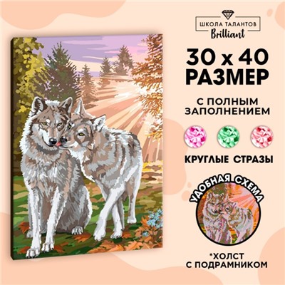 Алмазная мозаика с полным заполнением на подрамнике «Волки», 30 x 40 см
