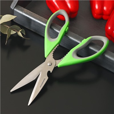 Ножницы кухонные Доляна «Гари», 22 см, цвет зелёный