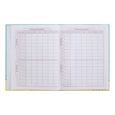 Дневник для 1-4 классов MetoYou, твёрдая обложка, глянцевая ламинация, 48 листов