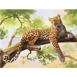 Картина по номерам на холсте с подрамником «Леопард», 40 х 30 см