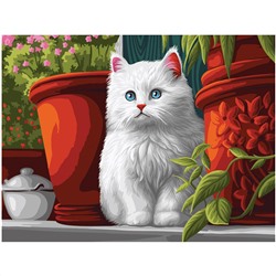 Картина по номерам на холсте ТРИ СОВЫ "Пушистый котенок", 40*50, с акриловыми красками и кистями