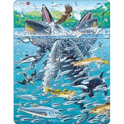 Пазл Larsen «Горбатые киты в стае сельди», 140 эл.