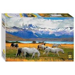 Мозаика «Лошади в национальном парке. Чили», 1000 элементов