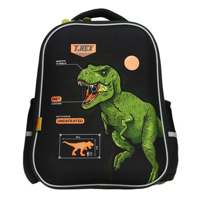 Рюкзак каркасный GoPack 165 Dinosaur, 38 х 28 х 13 см, эргономичная спинка