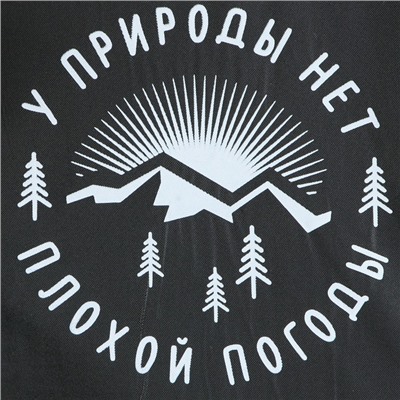 Дождевик взрослый плащ «У природы нет плохой погоды», размер 42-48, цвет чёрный