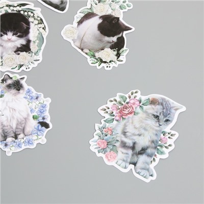 Наклейки для творчества "Коты в цветах" 8х8 см набор 45 шт 0,5х14,5х9,4 см