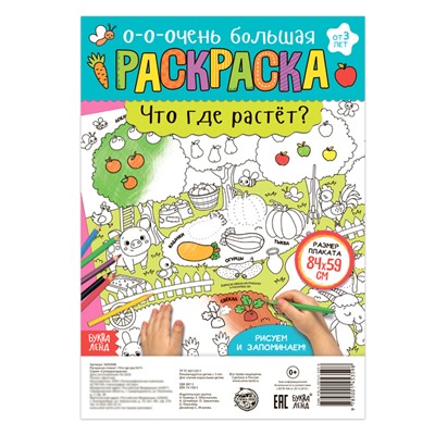 Раскраска-гигант «Что где растёт?»