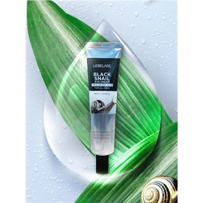 LEBELAGE - КРЕМ ДЛЯ КОЖИ ВОКРУГ ГЛАЗ С МУЦИНОМ ЧЕРНОЙ УЛИТКИ EYE CREAM BLACK SNAIL , 40 ML