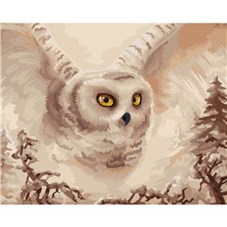 Картина по номерам на холсте ТРИ СОВЫ "Полярная сова", 40*50, с акриловыми красками и кистями