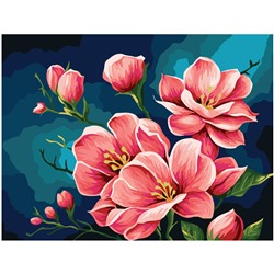 Картина по номерам на холсте ТРИ СОВЫ "Яблоневый цвет", 30*40, с акриловыми красками и кистями