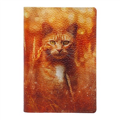 Обложка на паспорт с принтом Eshemoda “Рыжий кот”, натуральная кожа