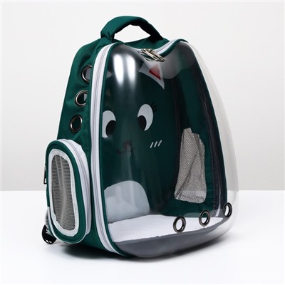 Рюкзак для переноски животных "Котик", прозрачный, 34 х 25 х 40 см, зелёный