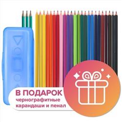 Карандаши 24 цвета Calligrata, ЭКОНОМ, заточенные, шестигранные, пластиковые, пенал-футляр и 3 чернографитных карандаша с ластиком в ПОДАРОК