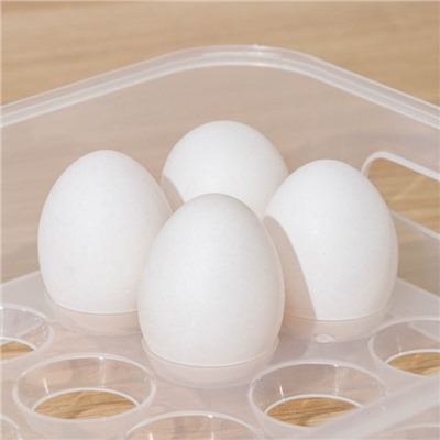 Контейнер для хранения яиц, 24 ячейки, 31×21×7,5 см, цвет МИКС