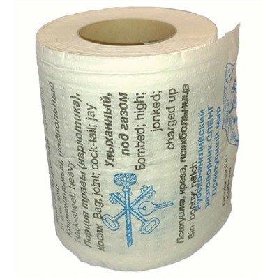 Сувенирная туалетная бумага «Русско-английский сленг – часть 3», двухслойная, 25 м (10х9,5 см)