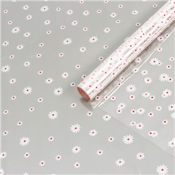 Пленка для цветов "Маргаритки", бело - красная, 0,7 х 7,6 м, 40 мкм, 200 г