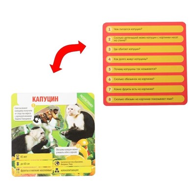 Настольная игра-викторина «Коробочка знаний. Животные всего мира», 50 карт, кубик, 7+