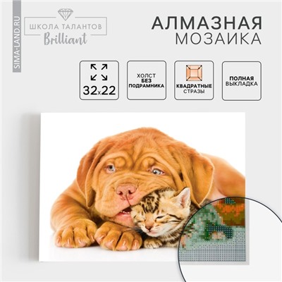 Алмазная мозаика «Котёнок и щенок», с полным заполнением на холсте, 22 × 32 см