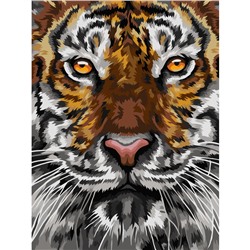 Картина по номерам на холсте ТРИ СОВЫ "Тигриный взгляд", 30*40, с акриловыми красками и кистями