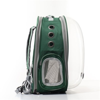 Прозрачный раскладывающийся рюкзак для животных, 33 х 28 х 42 см, зеленый