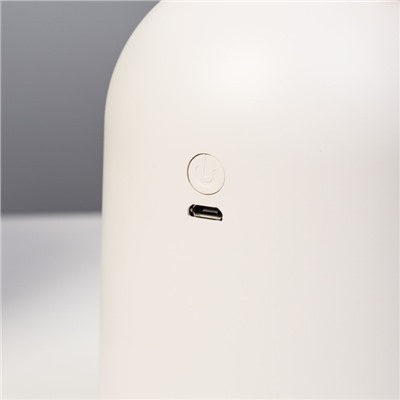 Ночник с увлажнителем Собачка на луне LED USB АКБ серый 8,3х8,3х15 см