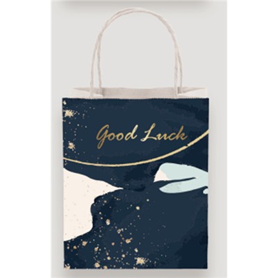 Пакет подарочный «Good luck», (26*32*12)