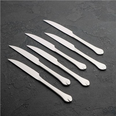 Набор ножей для мяса Доляна «Капля», h=22,5 см, 6 шт, цвет серебряный