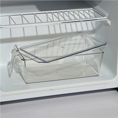 Контейнер для холодильника с крышкой и ручкой RICCO, 32×14,5×10 см, цвет прозрачный