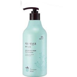 Шампунь с кактусом Jeju Prickly Pear Hair Shampoo, 500 мл