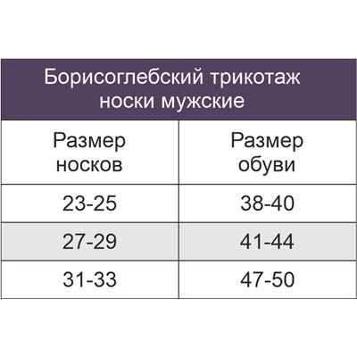 Мужские носки Борисоглебский Трикотаж