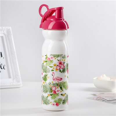 Бутылка для воды пластиковая «Тропические фламинго», 680 мл